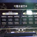 타이마이더스