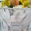 플라워물들이다 이미지