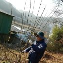 병이농장 이미지