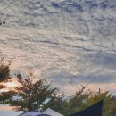 줄포만갯벌생태공원 이미지