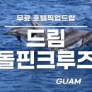 돌핀 이미지