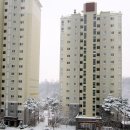 대한.대설 (大寒大雪 - 가장 추운 절기에 대설)