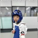 품태권도장 이미지