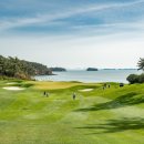 (주)파인비치 이미지