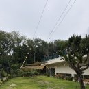 신관플라워