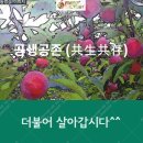 후레쉬엎