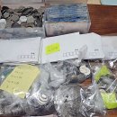 황지초등학교 이미지