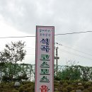 곡성 석곡 코스모스 축제 ＜6＞ 이미지