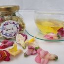 도시농업으로 힐링하기 이미지