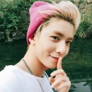 작야 Daum카페