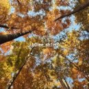 화인애견 이미지