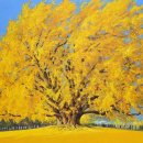 춘천미술관 이미지