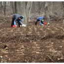 단비농장 이미지