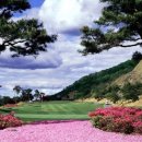 그린힐사우나 이미지