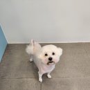 소사미용실 이미지