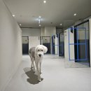 오늘도 힘차개 이미지