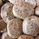 홍제원농장 이미지