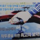 강진도깨비농장 이미지