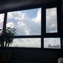 신성2차은하수아파트 이미지