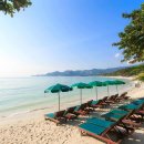 코사무이 호텔 프로모션- 반사무이 리조트 2026년 1월 8일~ 10월31일. 박당 4300밧부터 시작. 차웽비치 해변리조트. 이미지