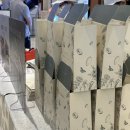 포레드썸머 이미지