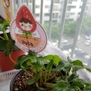 채은농장 이미지