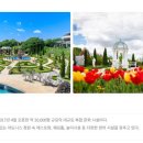파주시티투어 관광특구(목요일) 이미지
