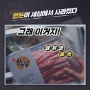 한돈세상 이미지