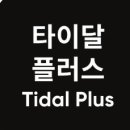 타이달