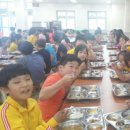 신토불이축산물 - 전주시 덕진구 조경단로 46 | 신토불이축산물