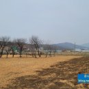 보평농장 네이버블로그