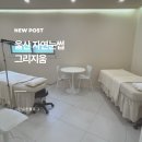 자연그리 | 울산자연눈썹 섀도우눈썹 후기 그리지움