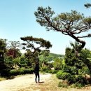 이상웅농장 네이버블로그
