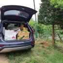 일희농장 이미지