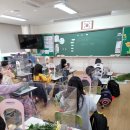 해맞이초등학교 이미지