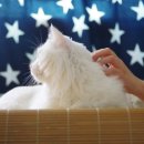 희동이의 하루 이미지