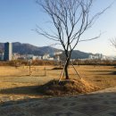 대저캠핑장 이미지