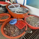 지중해펜션.모텔 이미지