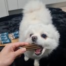 새운농장 이미지