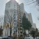 강남-185 이미지