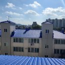 대구도색 이미지