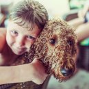 아기강아지 이미지