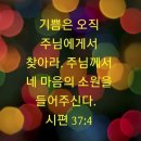 닛시 이미지