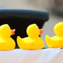 상봉역(경의중앙선, 경춘선) 이미지