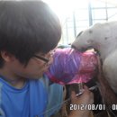 농고목장 이미지