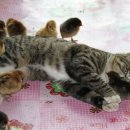 실버메디칼 이미지