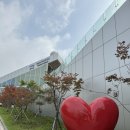 꿈마루도서관 | 일요일 아이랑 갈만한곳 &#39;그림책꿈마루&#39; 군포 어린이도서관
