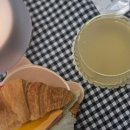 [일원3] 커피 바리스타의 홈 카페 | 카페원더베이스 홈카페 필수템 바리스타 레시피