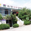 유명갈매기 이미지