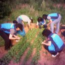 장복농장 이미지